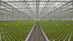 Packaging Delicate Herbs with RG6