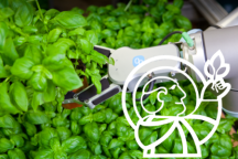 Packaging Delicate Herbs with RG6