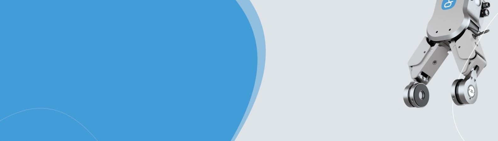 background guide